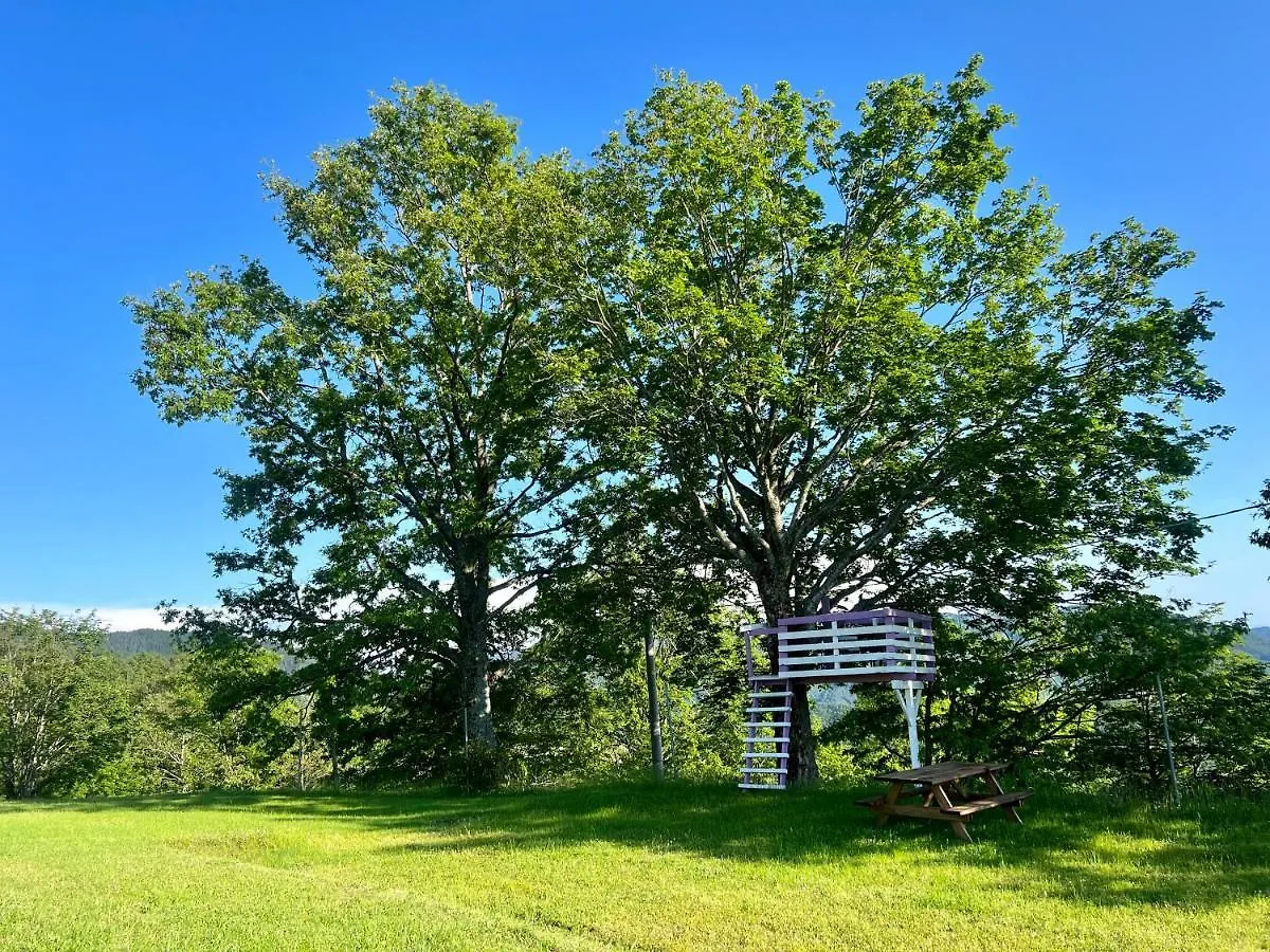 Agriturismo Il Serrino 산 마르첼로 피스토이에세 0*,  이탈리아